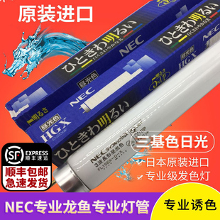NEC龙鱼红金龙鱼烤色诱色灯彩蝶灯架配套日本原装 进口6700k灯管T8