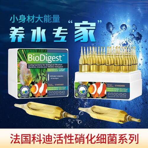 法国原装进口科迪硝化细菌ProdiB