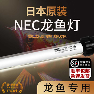 日本进口NEC鱼缸灯龙鱼发色灯烤色6700K增艳爬背潜水发色灯紫外线