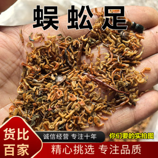 蜈蚣爪 蜈蚣足 安国中药批 蜈蚣腿 蜈蚣碎 蜈蚣足 蝎子碎蜈蚣渣