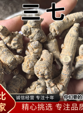 三七 安国中药批 云南文山三七田七新鲜云三七泡酒粉 20头