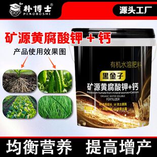 黑金矿源黄腐酸钾钙水溶生根有机膨果桶装调理土壤果树蔬菜通用型