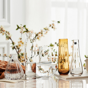 简约一支花玻璃花瓶透明水培花器 饰小清新摆设 餐桌台面现代装