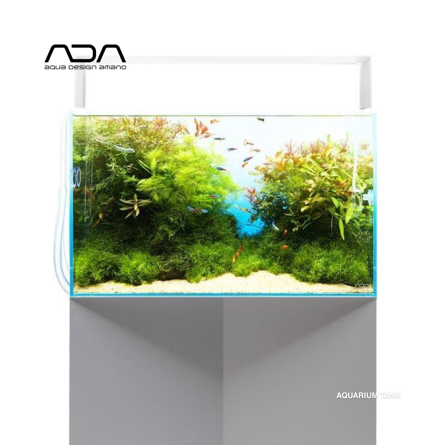ADA中小型超白玻璃方形鱼缸薄胶痕无公差水草造景鱼缸包邮圆通