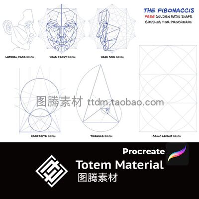 Procreate黄金分割率网格人像面部结构网格实用ipad手绘设计笔刷