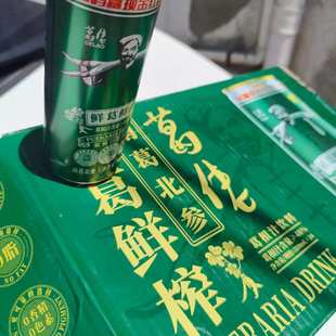 橫峰葛根汁飲料 6瓶組合裝 包郵 葛佬涼茶葛佬葛根汁飲料310ml