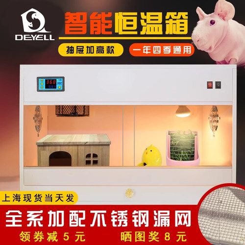 网红小河马无毛暖箱迷你猪天竺鼠