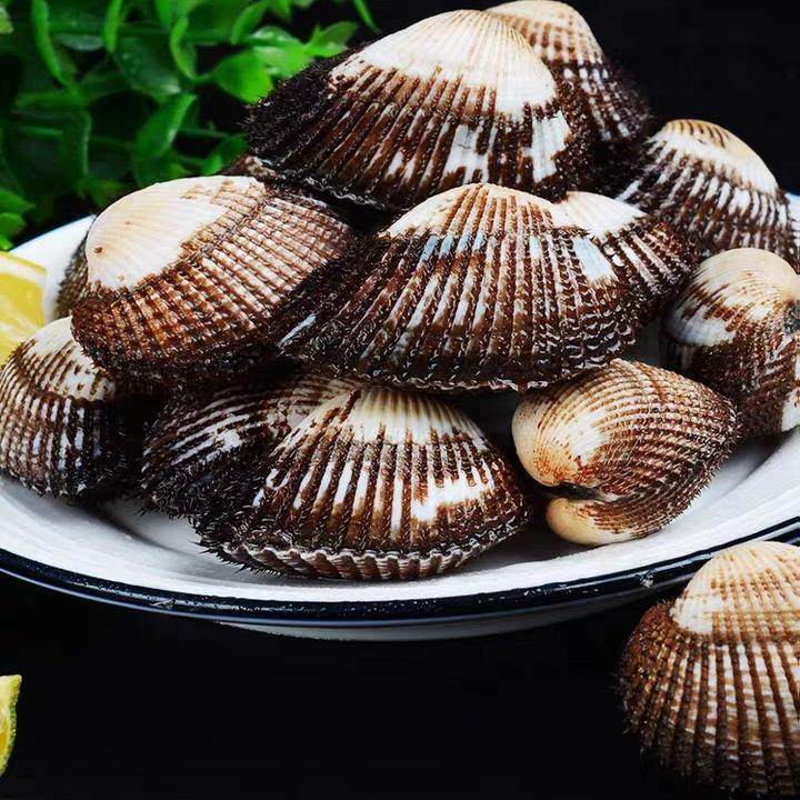 3斤装血哈海鲜鲜活 毛蛤蜊 血蛤蜊 海鲜水产贝类野生无沙花蛤血蛤,水产肉类/新鲜蔬果/熟食,贝类制品,淘宝优惠券,粉丝福利购,淘宝优惠卷