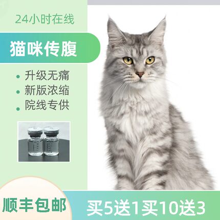 猫咪传腹干湿性营养液口服片剂大肚子水剂油剂升级无痛版fipv咨询