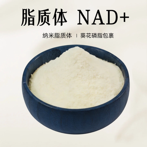脂质体NAD+全酶法4.0原粉原料