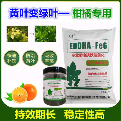 螯合铁柑橘专用铁肥EDDHA-Fe6铁柑橘黄叶专用螯合铁肥黄叶黄化病