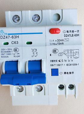 DZ47LE-63H 2P 63A漏电保护器开关40A漏保220V家用32A 25A保安器