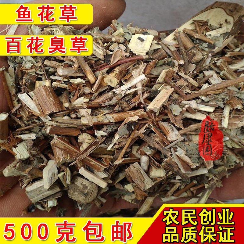 鱼花草 百花臭草 500g包邮 鲜货
