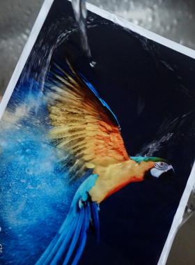 RC相纸5寸6寸7寸A4盈莲260g高光4R照片纸防水耐刮喷墨打印相册纸