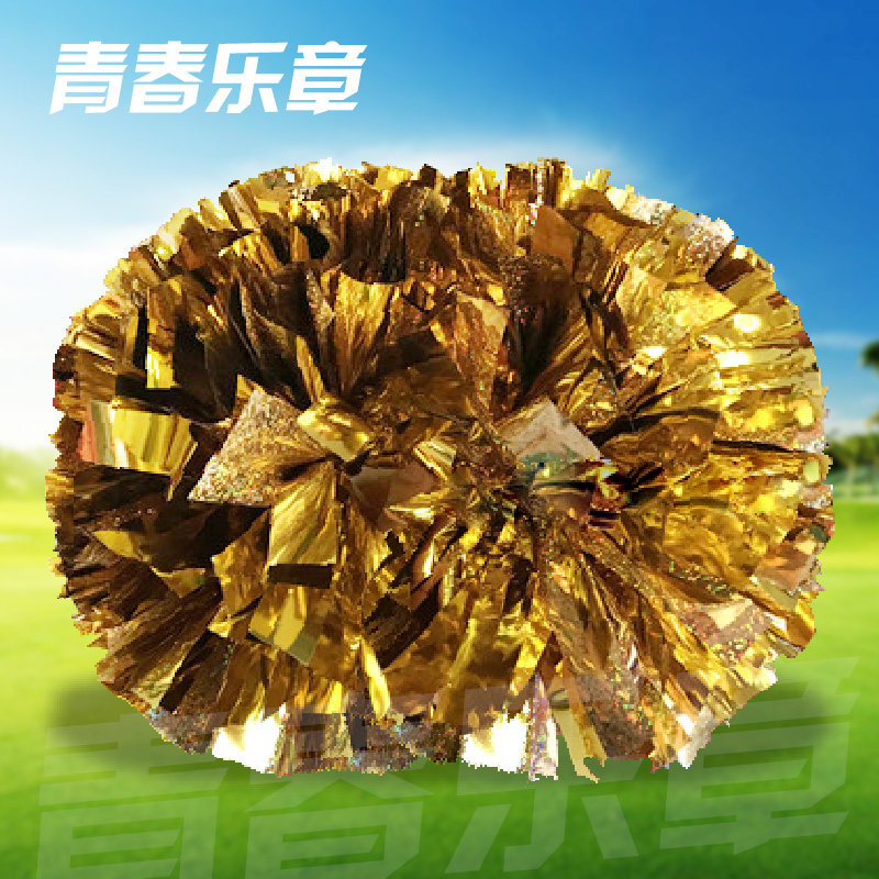 啦啦操花球拉拉队手摇花广场舞手花健美操舞蹈道具啦啦花彩球比赛