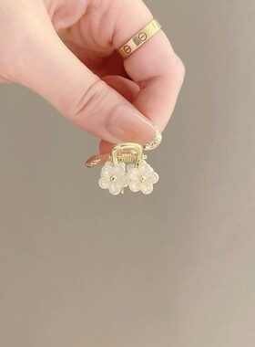 可爱风仙女清新公主头小抓夹金属发夹女夏季发饰小号刘海夹英
