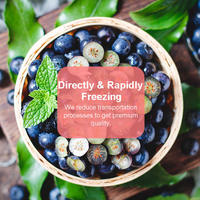1000g Blueberries Freshly Frozen Fruits No Added Sugar thumbnail 3