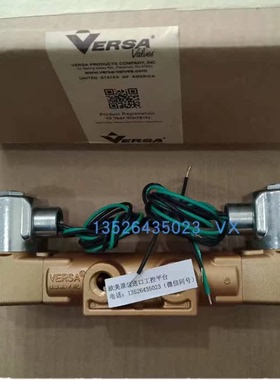 Versa E5SM-3201-23-H2-XNG-D024  VAG-3321-181D-X