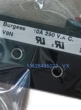 Burgess V9N 10A 250VAC微动开关WKA SC15608S205-0温控器