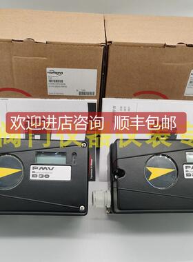 Flowserve福斯阀门定位器D30AHN2-U39PVA-U5X0XN