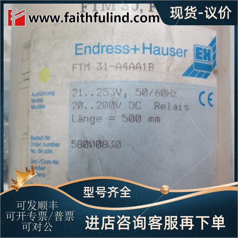 议价E+H FTM31-A4AA1B 恩德斯豪斯音叉式物位计 FTM 31
