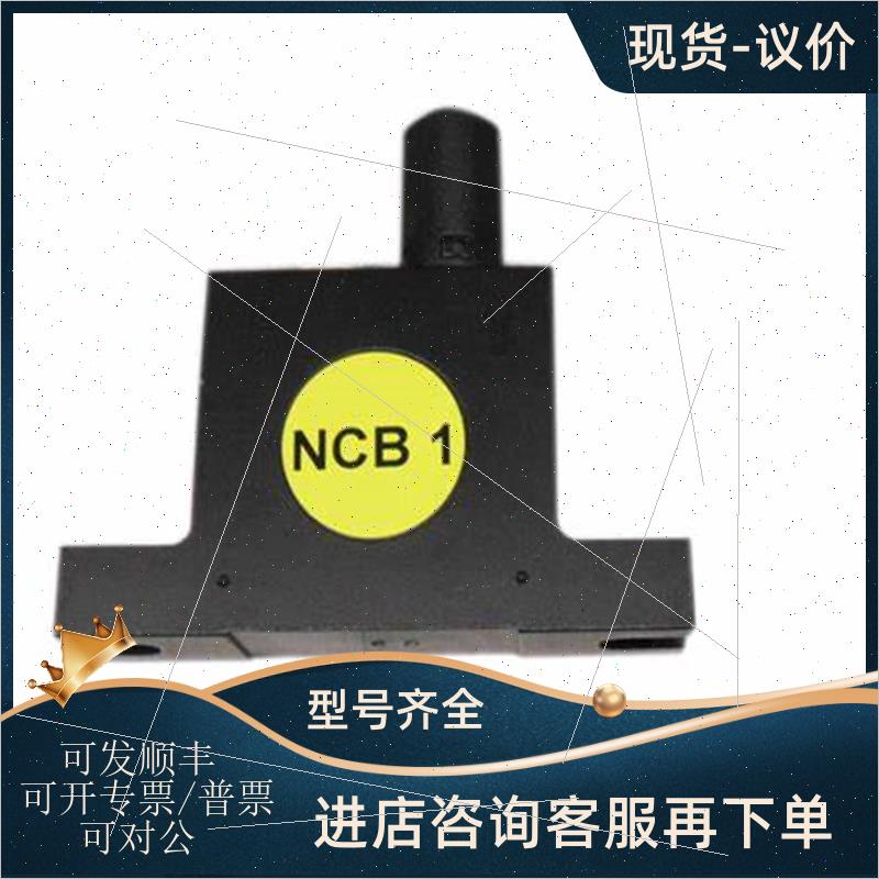 议价德国NETTER VIBRATION振动器NCB 1