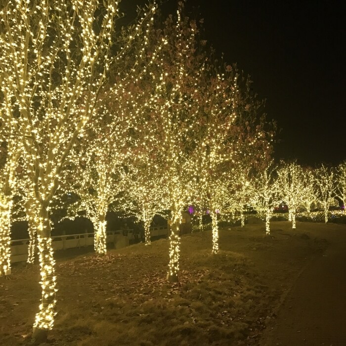 Led小彩灯闪灯串灯星星灯节日灯满天星霓虹灯户外防水婚庆装饰灯|msdalam kategori bekalan perayaan/hadiah, lampu hiasan - dari Buy2taobao.com untuk memberikan perkhidmatan ejen Taobao profesional membeli