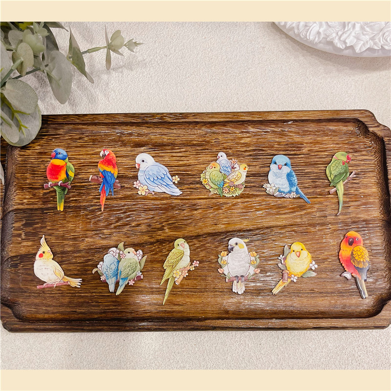 鹦鹉科普冰箱贴装饰磁贴金刚