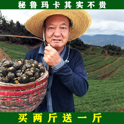 (买二送一）秘鲁黑玛卡正品500克