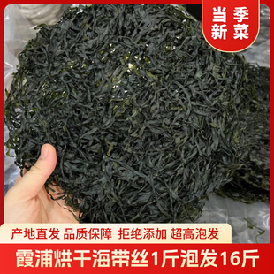 福建霞浦海带干货烘干海带丝速食凉拌无盐无沙免洗高泡发当季新货