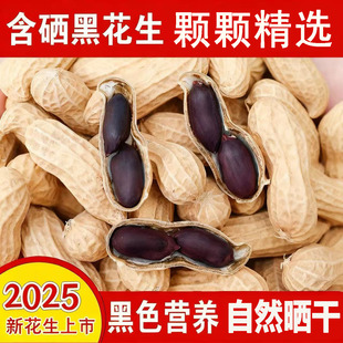 花生黑花生富硒黑花生紫皮黑皮大粒带壳黑花生米仁农家自种子新货
