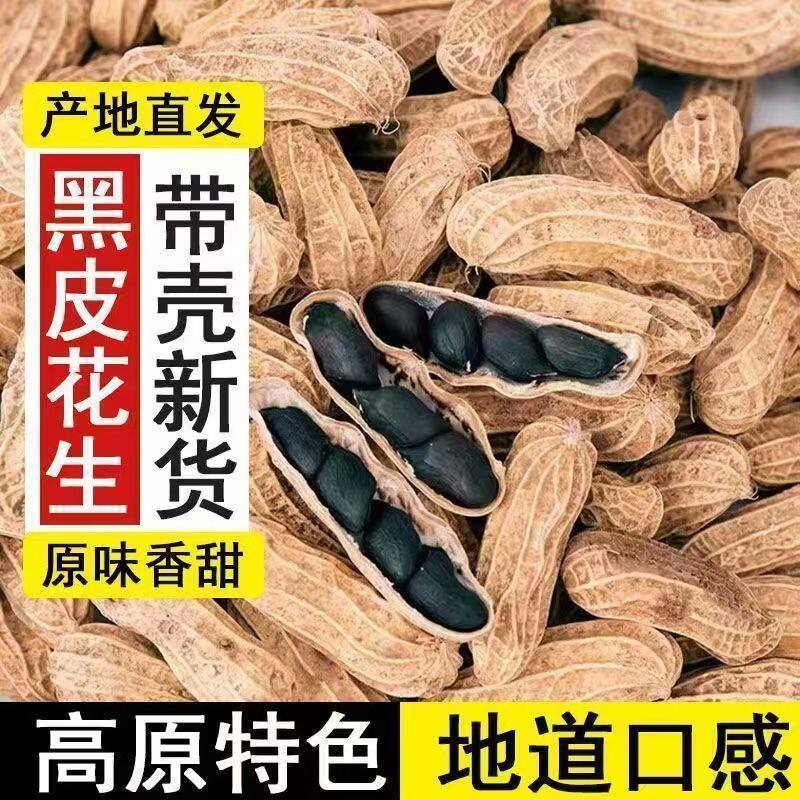 新鲜富硒生带壳黑花生