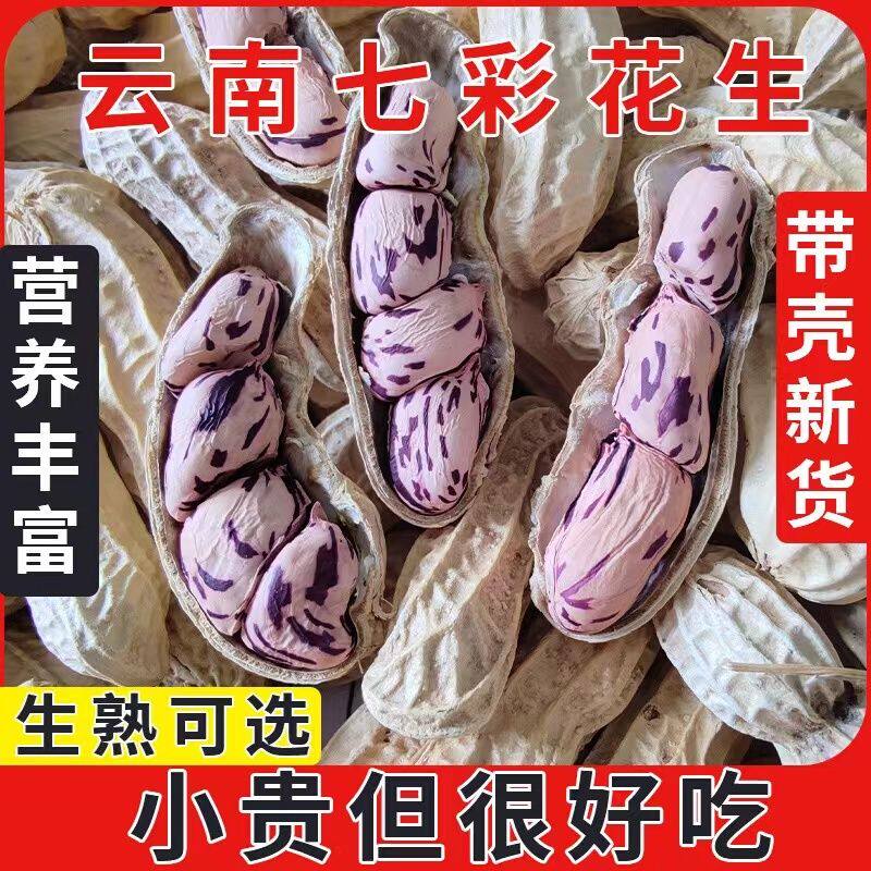 云南七彩花生2025新货晒干花生五彩花生花皮花生水果牛奶花生花生