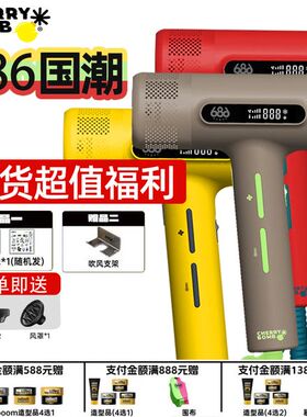 樱桃686S吹风机发型师专用发廊理发店大功率电吹风负离子护发风筒
