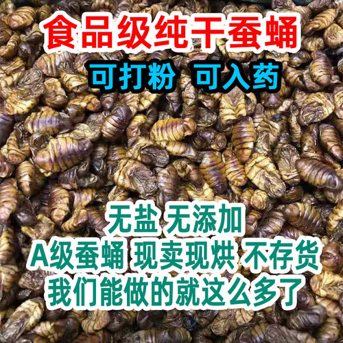 食品级原味无添加可打粉干桑蚕