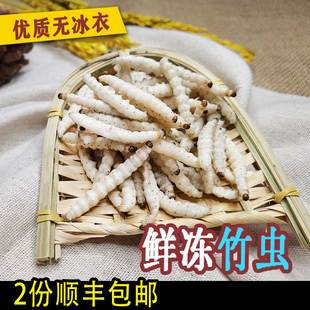 竹虫无冰衣新鲜竹虫 冷冻竹蜂竹蛹笋虫竹节虫云南鲜活竹虫鲜活 包邮