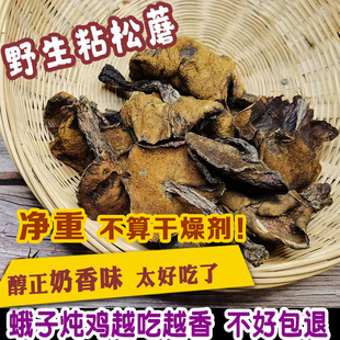 野生松蘑山东松蛾子干货松蘑菇粘团子娥子新鲜烘干松树菌菇炖鸡