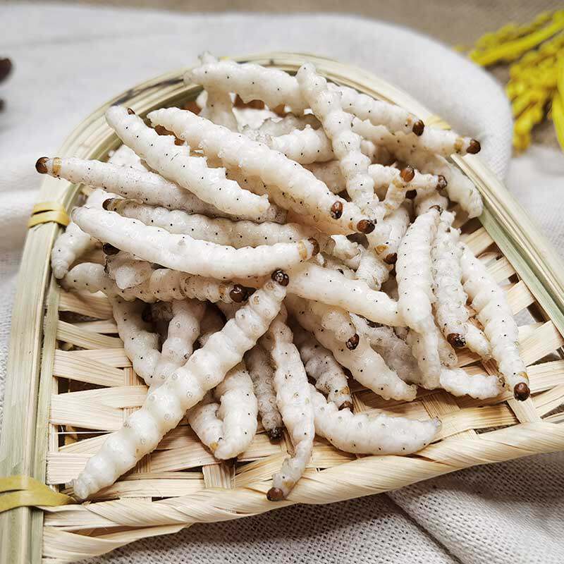 竹虫500克包邮云南野生竹虫竹蜂虫鲜活速冻竹蛹竹节虫笋虫竹虫