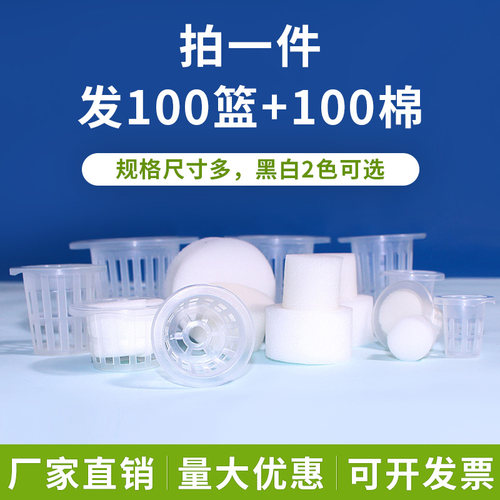 篮和棉各100套水培定植篮