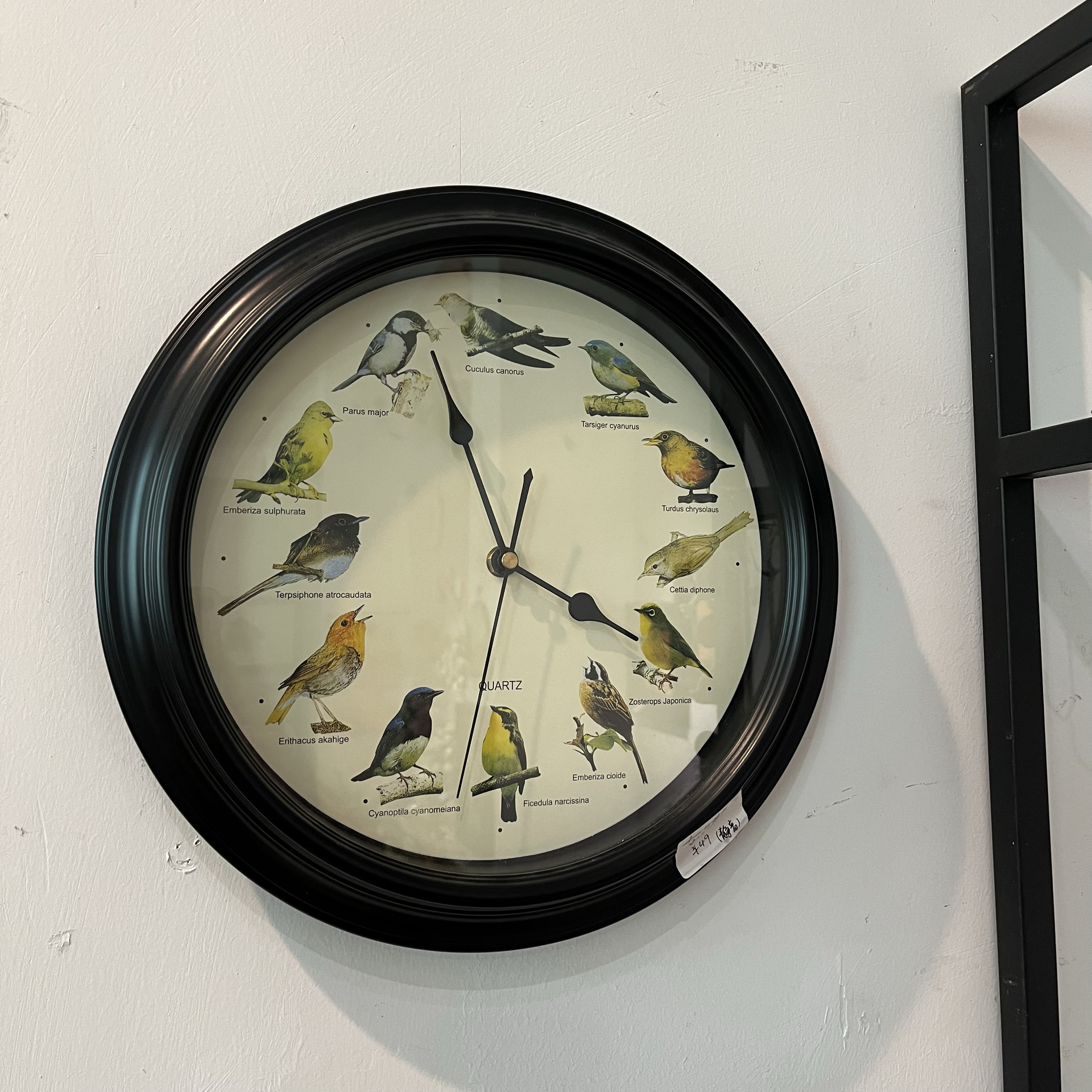 美式复古小鸟静音挂钟（可整点报时），直径32