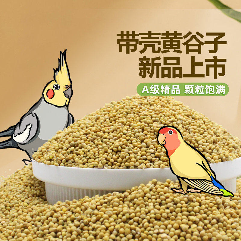 热卖批发鹦鹉鸟粮食带壳谷子大颗粒黄谷子饲料鸟营养粮食新品上市