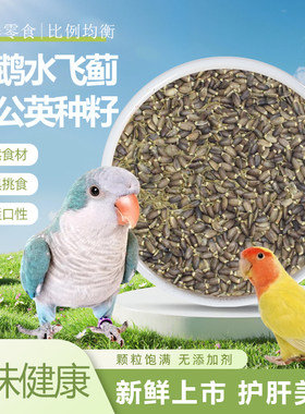 10年老店鹦鹉水飞蓟种子鸟护肝
