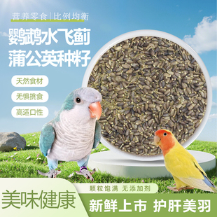 鹦鹉水飞蓟种子鸟护肝零食营养美毛换羽零食保肝排毒天然种子粮食