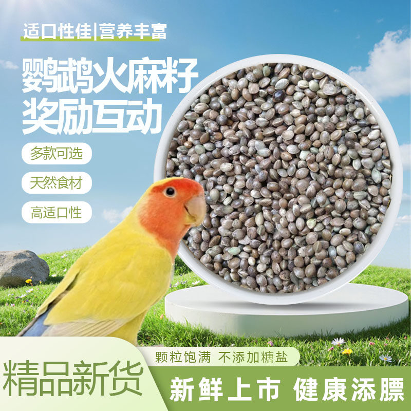 新品鹦鹉麻子火麻子鸟食奖励零食