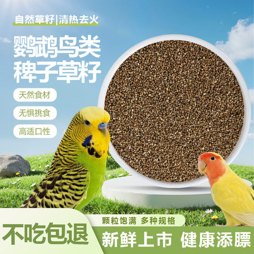 鹦鹉草籽稗子鸟饲料带壳水