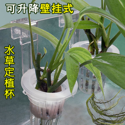 鱼缸水上草定植杯可升降挂式螺丝款山崎桂水培植物造景固定架