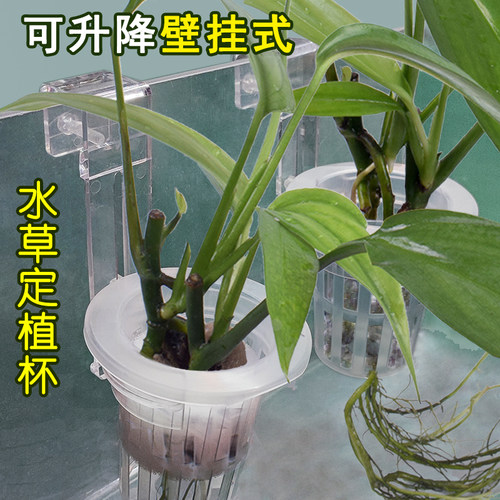 挂式水上草鱼缸可升降定植杯