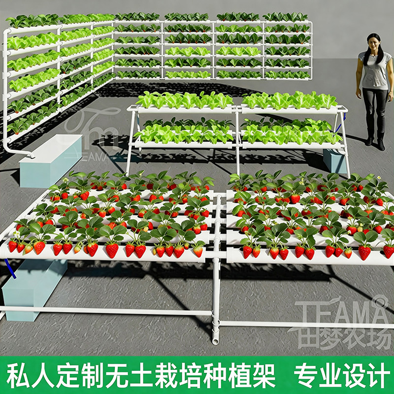 定制无土栽培设备定制水培种植架