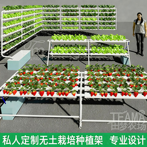 私人定制无土栽培种植架设备阳台花园水培系统种菜神器草莓架促销