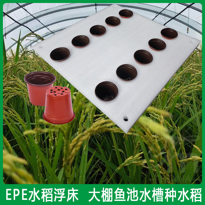 蔬菜水稻种植浮床水上稻漂浮板大棚无土栽培鱼稻菜共生种植发泡板